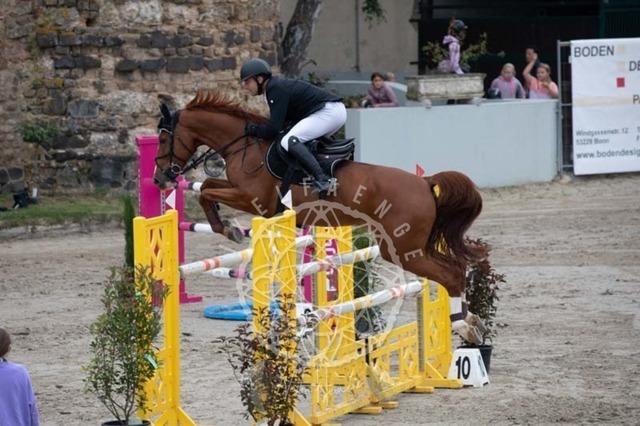 2B4A2626 | pixelfaenger - Realisiert mit Pictrs.com