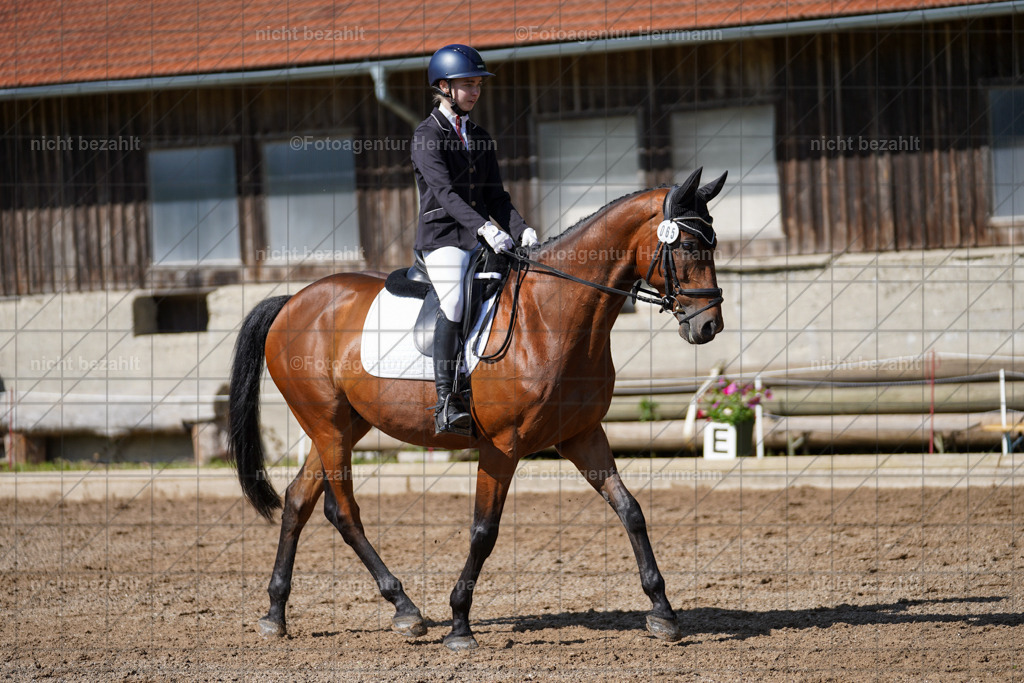 20240519-FAH04712 | Turnierbilder Niederseeon 2024, Vielseitigkeitsdressur, Reitsportbilder aus dem Landkreit Ebersberg, Gut Steinsee, RC Steinsee, Fotoagentur Herrmann