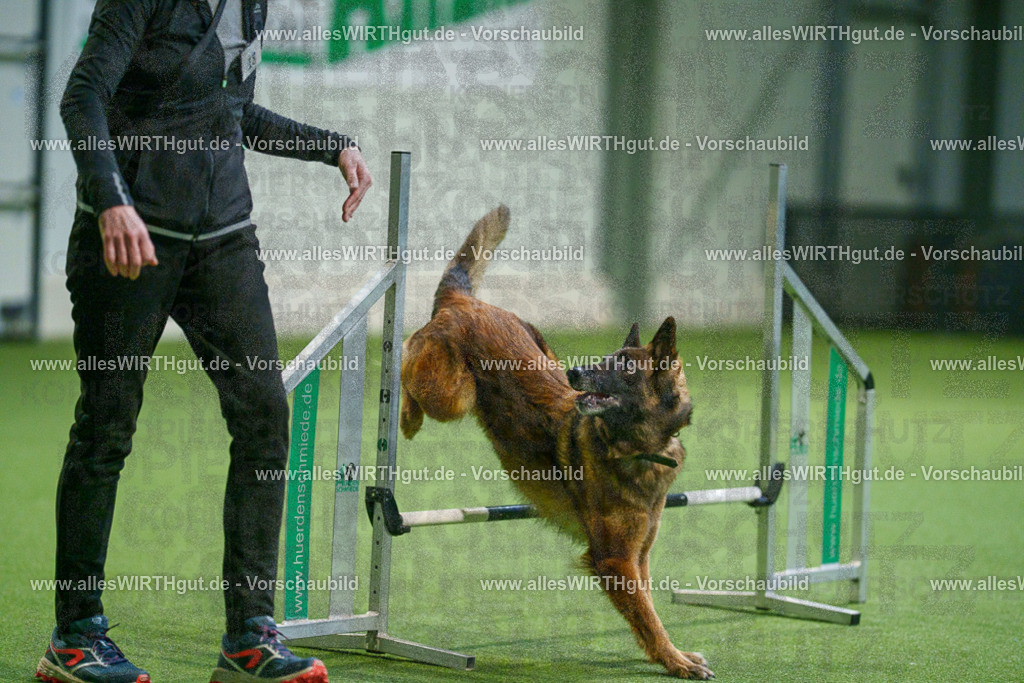 7R505671 | Professionelle Tierfotografie in Mönchengladbach von Daniel Wirth (allesWIRTHgut). Liebevolle & natürliche Bilder von Hunden & Katzen für unvergessliche Erinnerungen.