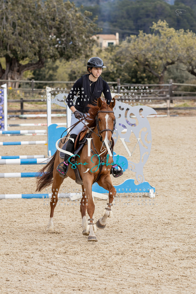 IMG_4619 | s-jay-photography - Realisiert mit Pictrs.com