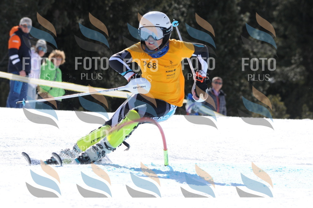 C8966 | holidayphoto