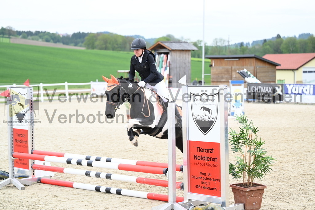 DSC_1920 | equestrian-live-com
