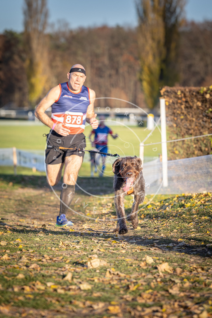 CaniXpix_DV3A4296 | Hundefotografie, Tierfotograf, Pfotenfotografie, Fotoshooting Hund, Hunde Portrait, Hundesport, Hundeportraits, Heideshooting, Hunde, Sportfotograf, Hundefotograf, Turnierhundsport, THS,  - Realisiert mit Pictrs.com