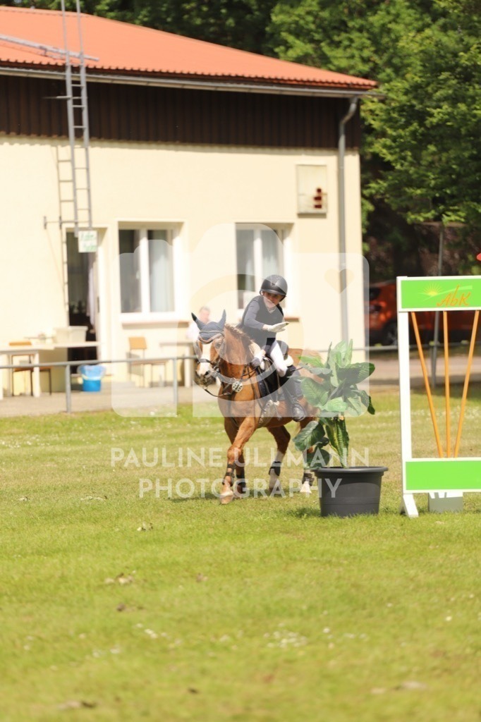 IMG_7491 | Pauline Ullmann Photography - Realisiert mit Pictrs.com