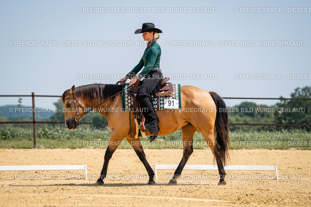 DSC01238 | Pferdegrafie