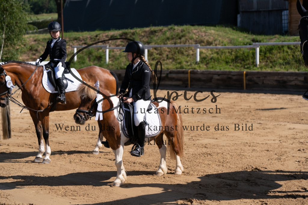 A7V07706 | Pferdefotograf