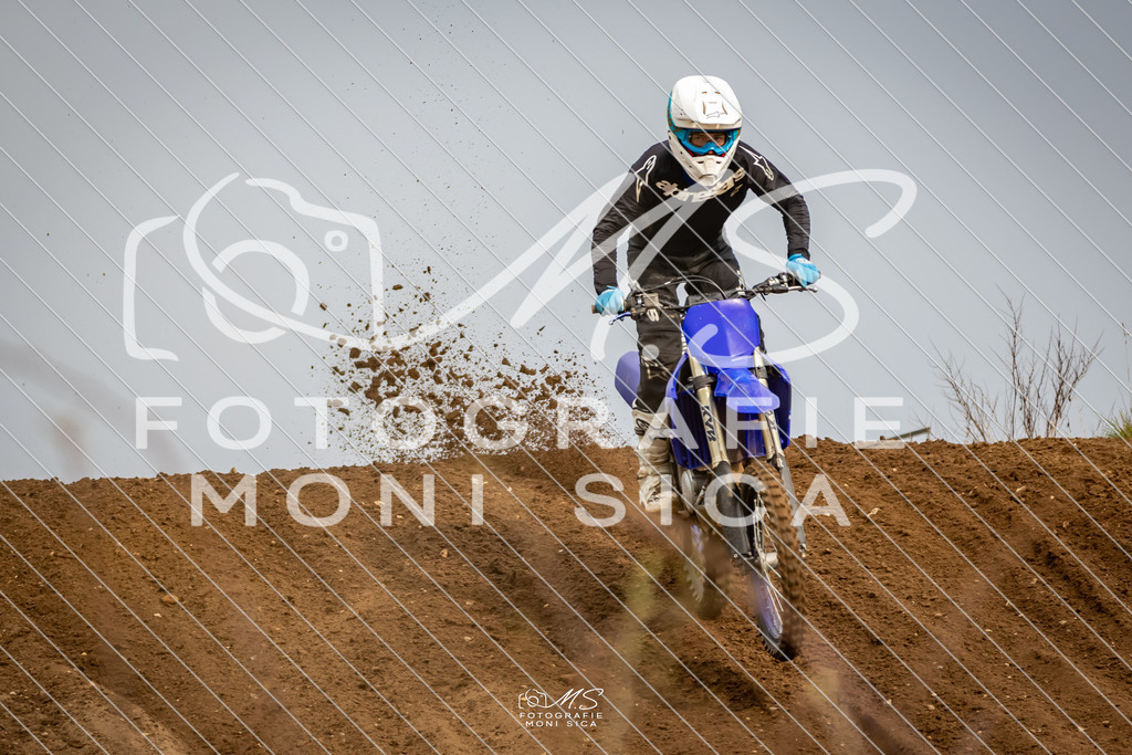 20260321-162A1096 | moni.sica.fotografie - Realisiert mit Pictrs.com
