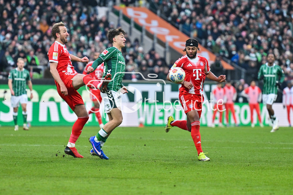 SV Werder Bremen - FC Bayern München | BREMEN, GERMANY - 14. FEBRUARY: v, l, Harry KANE (FC Bayern Munich 9), Patrice COVIC (SV Werder Bremen 24) und Serge GNABRY (FC Bayern Munich 7) während dem Bundesligamatch zwischen dem SV Werder Bremen und dem FC Bayern München am 22. Spieltag im Weserstadion /  DFL REGULATIONS PROHIBIT ANY USE OF PHOTOGRAPHS AS IMAGE SEQUENCES AND/OR QUASI-VIDEO