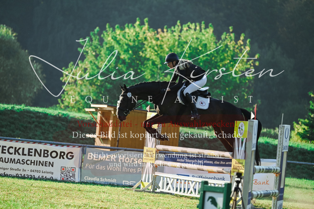 DSC_4213 | Pferde- und Turnierfotografie in Westsachsen. Pferdeportraits, Auftragszeichnungen und intuitive Kunst.