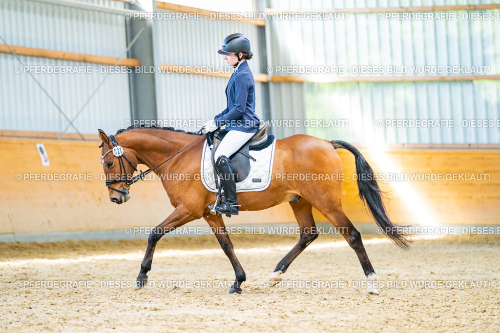 DSC07982 | Pferdegrafie