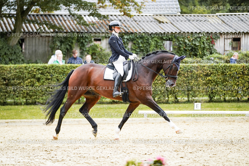 DSC01623 | Pferdegrafie