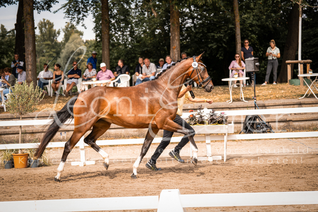 6.Fr00140 | Leoni Ertmer Photography - Realisiert mit Pictrs.com