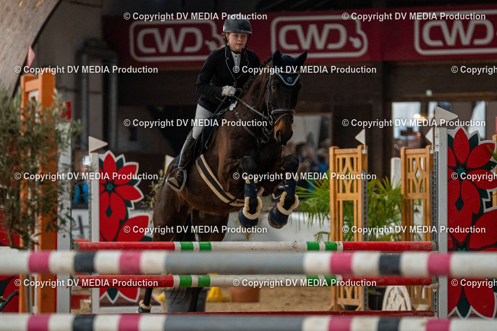 Kranichstein Tag 1-142 | dv-media-shop - Realisiert mit Pictrs.com