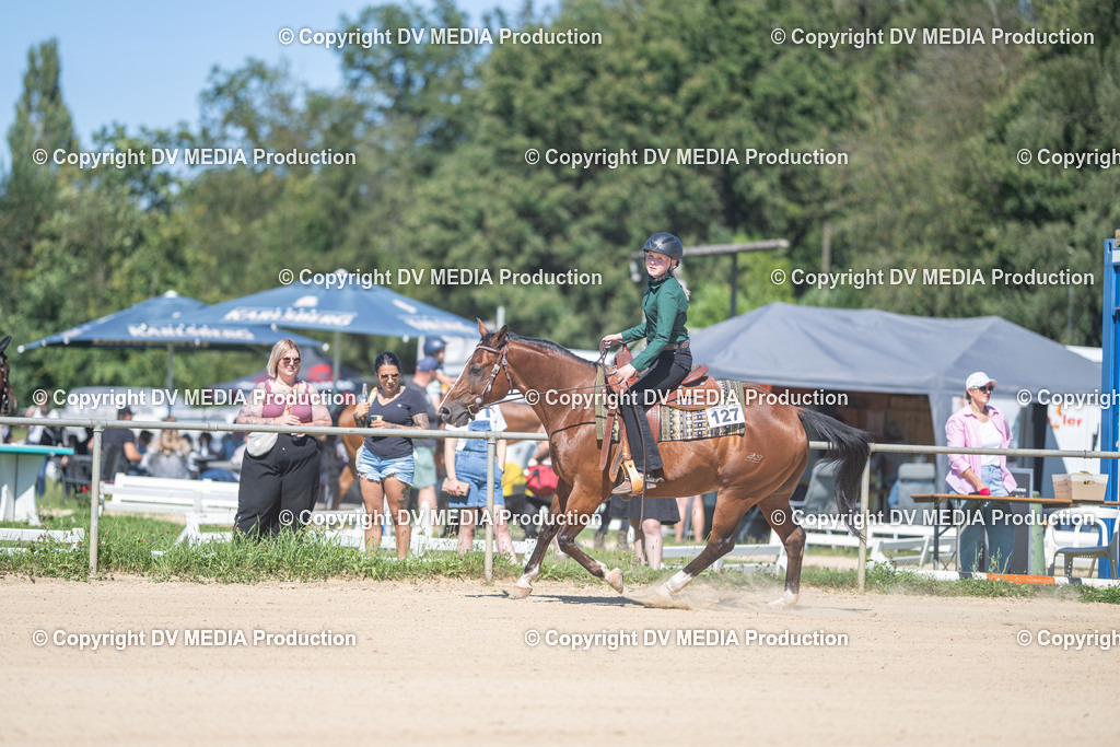 LM Heiligenwald Tag 1-1661 | dv-media-shop - Realisiert mit Pictrs.com