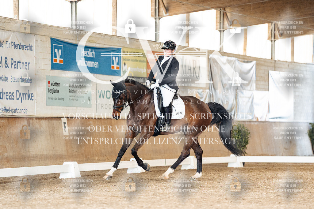 CK901628 | Turnierfotografie Pferdefotografie Trier Rheinland-Pfalz Pferdesport Reitsport Tierfotografie Sportfotografie Pferdevideo Pferdevideografie Equestrianvideography equestrianphotography  - Realisiert mit Pictrs.com