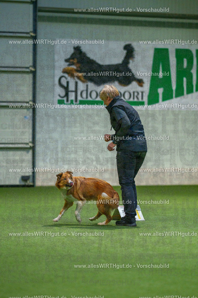 7R505488 | Professionelle Tierfotografie in Mönchengladbach von Daniel Wirth (allesWIRTHgut). Liebevolle & natürliche Bilder von Hunden & Katzen für unvergessliche Erinnerungen.