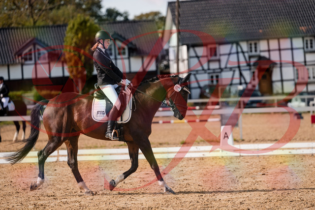 2026_10_03_Siefer-Hof_132116_Z63_82360492 | Professionelle Reitsport-, Turnier- und Eventfotografie von Robert Broda. Galerien mit ausgewählten und bearbeiteten Bildern direkt online ansehen und bestellen.