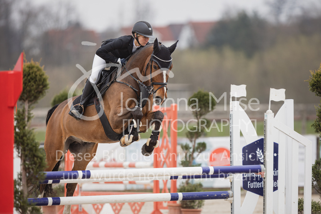 230408_Frühlingsfest_Stil-A2_LK3-4-719 | Deine schönsten Turniermomente als professionelle Fotos! Entdecke hochwertige Pferdesport-Fotografie im Online-Shop. Jetzt Fotos finden & bestellen!