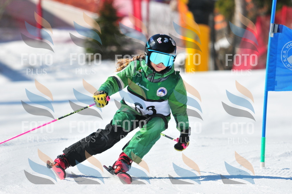 C2229 | holidayphoto