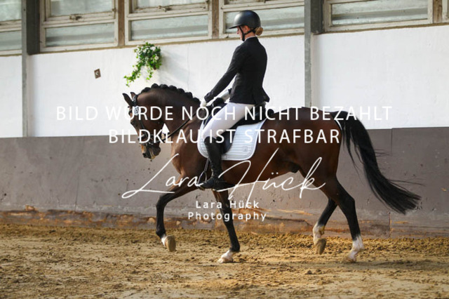 DKP45798 | larahueckfotografie
