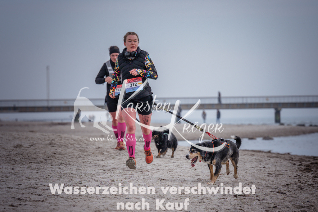 1138_ZZ99824 | kk-dogfotos