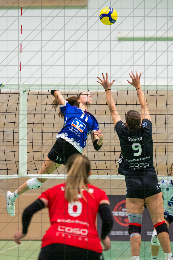 2. VBLF Nord 25/26 | Spiel 4041 | VC Osnabrück vs. RC Sorpesee | //  30.11.25: 2. VBLF Nord 25/26 | Spiel 4041 | VC Osnabrück vs. RC Sorpesee / Osnabrück / Deutschland  //   CREDIT:www.bullenfotos.de, Martin König, Hörner Weg 40, D-49078 Osnabrück, +4917663732967 // Nutzung und Weitergabe nur zu den vereinbarten Zwecken. Presseanfragen an Ersteller. Alle Rechte beim Ersteller. Honorierung nach MFM. - Realisiert mit Pictrs.com