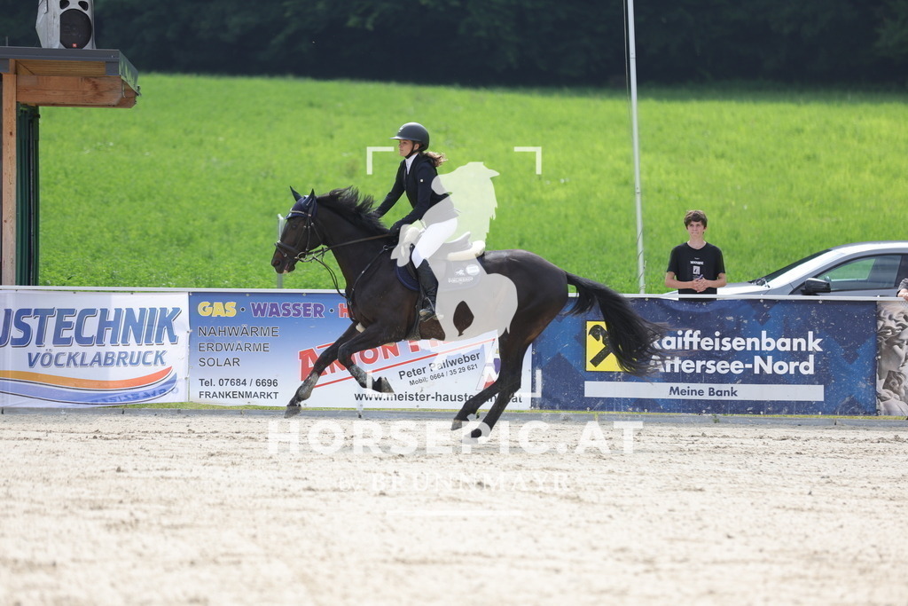 0P6A5221 | Willkommen bei Brunnmayr - Design & Fotografie – Ihrem Spezialisten für Reitturniere und Pferdeveranstaltungen in Oberösterreich, Salzburg und Bayern! Seit über 17 Jahren sind wir leidenschaftlich dabei.
