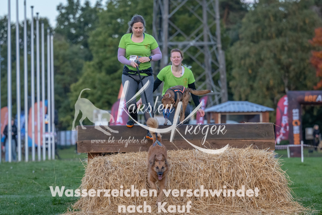 0805_ZZ94298-Bearbeitet | kk-dogfotos