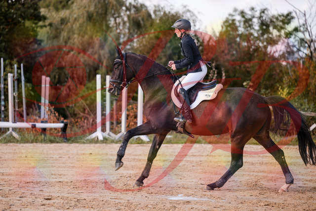 2026_10_03_Siefer-Hof_144050_Z81_12213298 | Professionelle Reitsport-, Turnier- und Eventfotografie von Robert Broda. Galerien mit ausgewählten und bearbeiteten Bildern direkt online ansehen und bestellen.