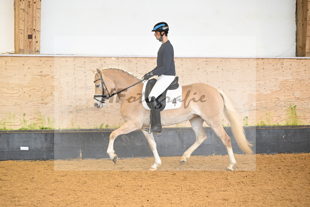 Kat-Nr. 4 Finja_Oswald_6222095 | hf-fotografie - Realisiert mit Pictrs.com