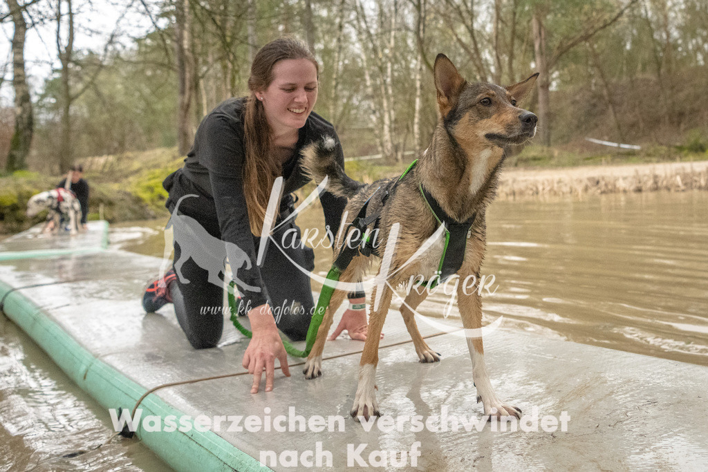 0859_ZZ90042-Bearbeitet | kk-dogfotos