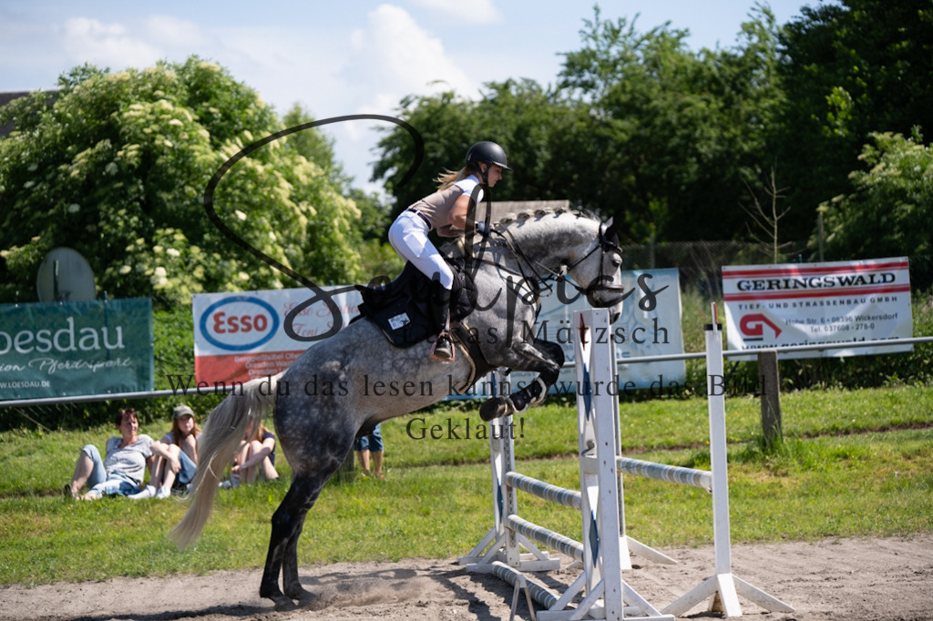 A7V03367 | Pferdefotograf