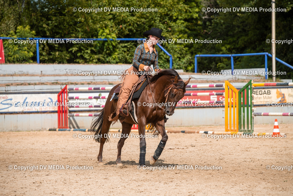 EWP_5996 | dv-media-shop - Realisiert mit Pictrs.com