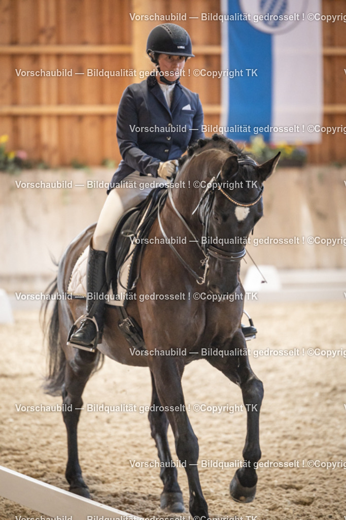 _D5A8895 | Emotionale Pferde- & People-Fotografie rund um Heidelberg, Leimen & Umgebung. Natürliche Fotos von Pferd, Mensch & Familie. Jetzt Termin sichern!