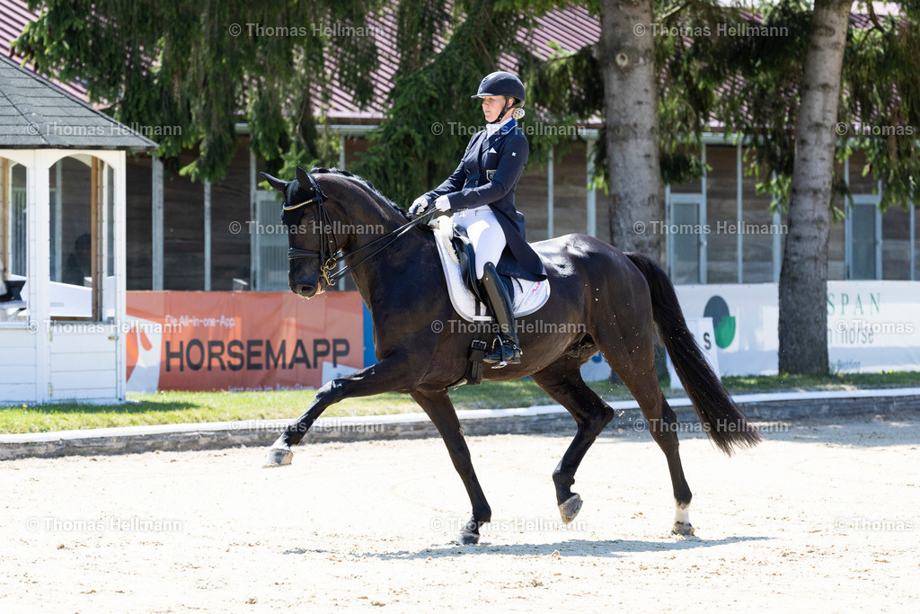 TH_117 Don Domingo 7 (FIN) Emma KANERVA_9588 | Bettenröder Dressurtage 2023 am 08.07.23 in Bettenrode, Thomas Hellmann, 117 Don Domingo 7 (FIN) Emma KANERVA