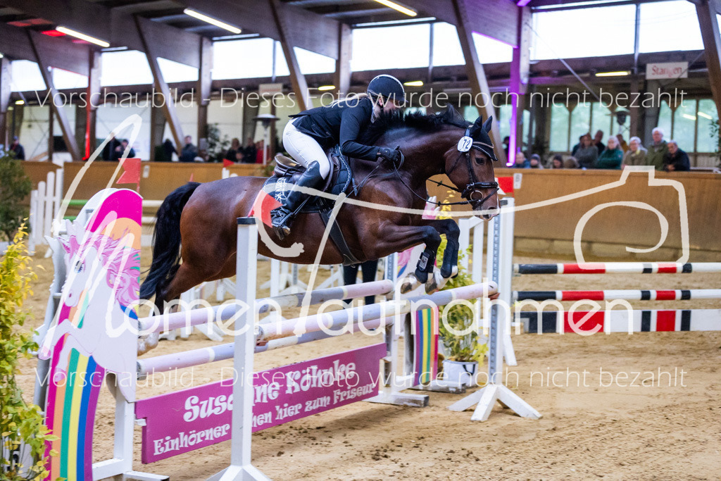 Sth-A-Spr.m.st.A.-037 | MomenTaufnahmen Pferdesportfotos