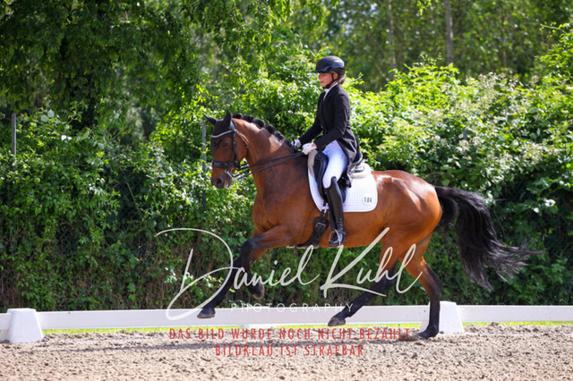DKP41407 | Turnierfotos kaufen im Webshop von Daniel Kuhl Photography – entdecke professionelle Reitsportfotos aus Turnieren & Events. Hochwertige Turnierbilder online bestellen & sichern. Jetzt Fotos von Reitsportturnieren kaufen!