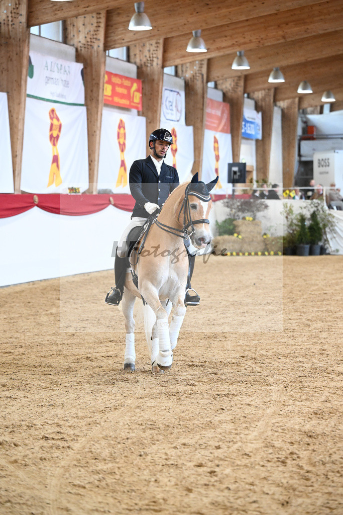 Schauprogramm Haflinger_DSP Amiro_2251546 | hf-fotografie - Realisiert mit Pictrs.com