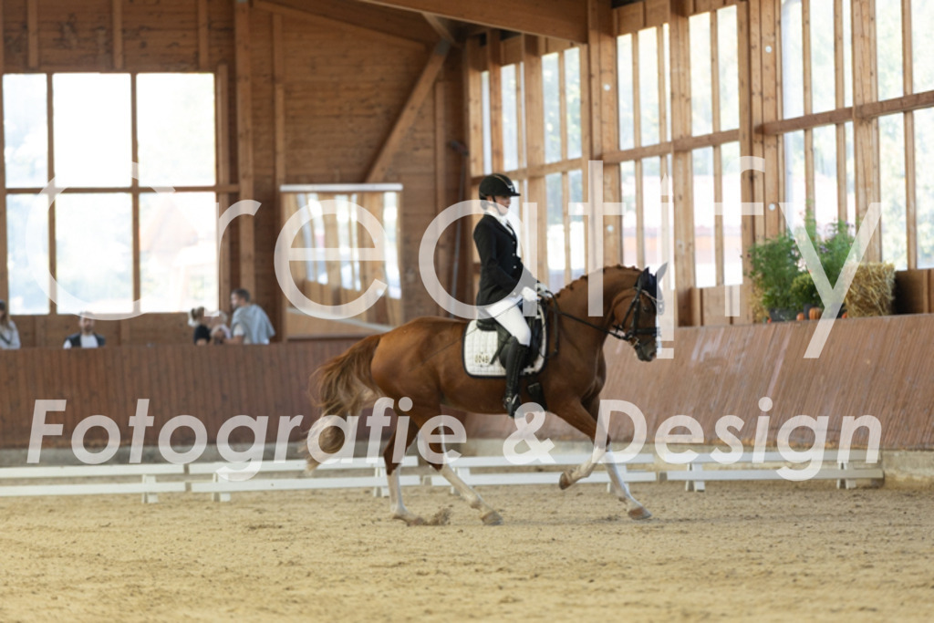 IMG_9579 | Creatify Fotografie