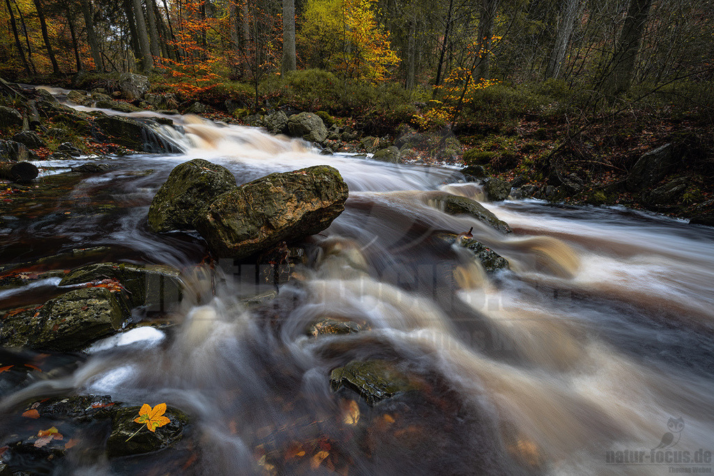 R5NF8947-20231105 | Herbstliche Landschaft mit Gebirgsbach. - Realisiert mit Pictrs.com