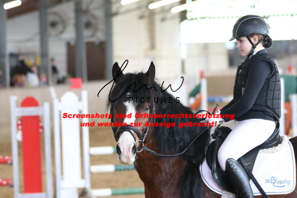 IMG_5268 | lmwpictures - Realisiert mit Pictrs.com