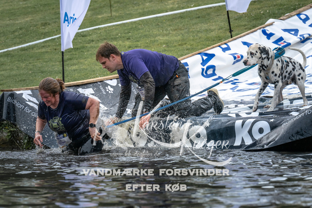 1558_ZZ97214 | kk-dogfotos