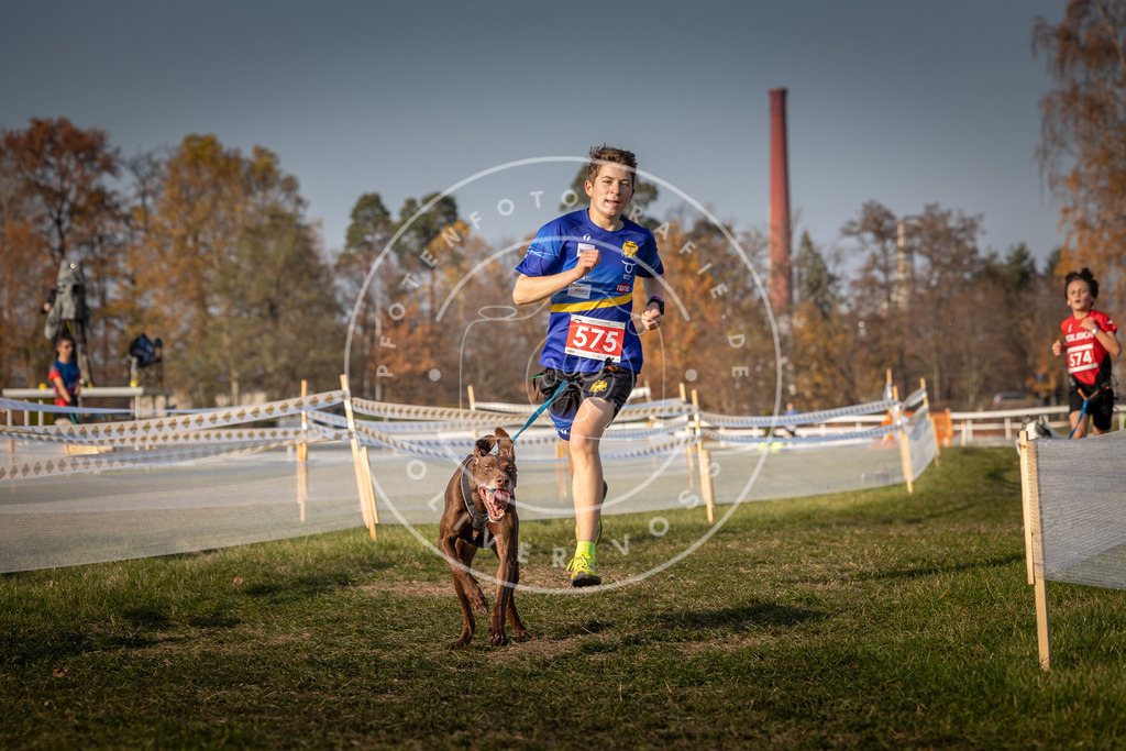 CaniXpix_0L8A9545 | Hundefotografie, Tierfotograf, Pfotenfotografie, Fotoshooting Hund, Hunde Portrait, Hundesport, Hundeportraits, Heideshooting, Hunde, Sportfotograf, Hundefotograf, Turnierhundsport, THS,  - Realisiert mit Pictrs.com