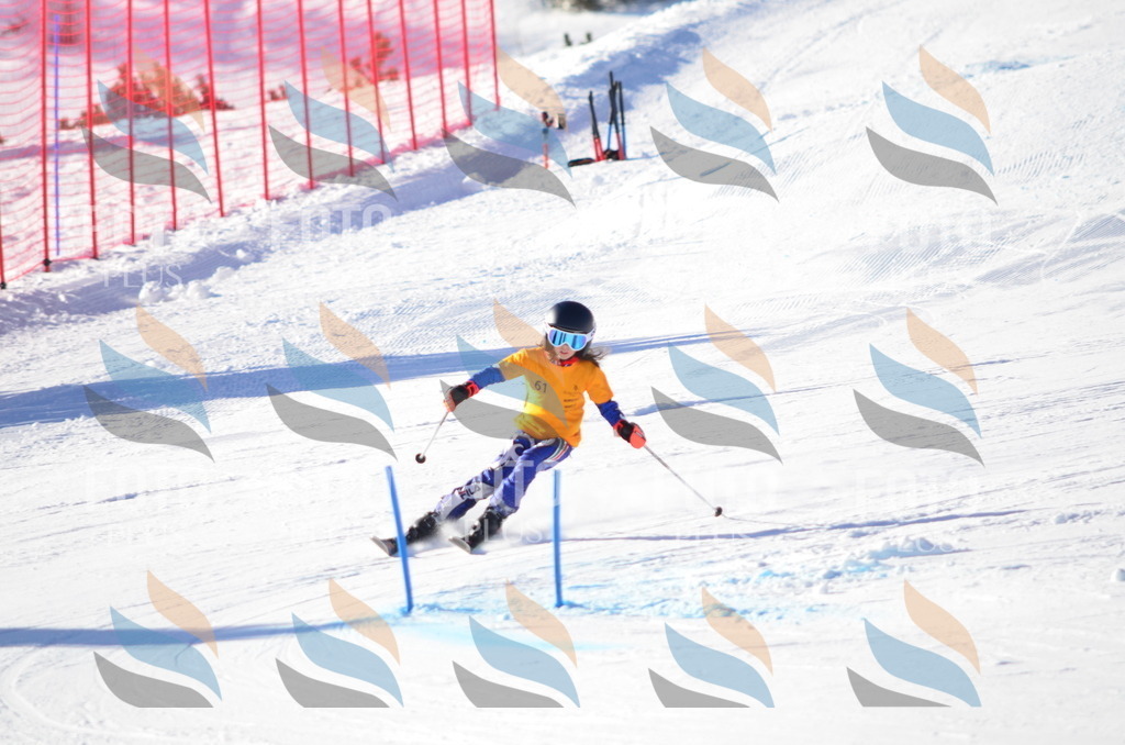 C5791 | holidayphoto