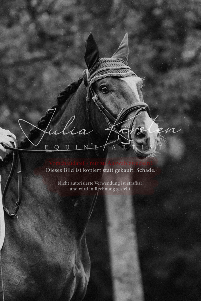 DSC_9732 | Pferde- und Turnierfotografie in Westsachsen. Pferdeportraits, Auftragszeichnungen und intuitive Kunst.