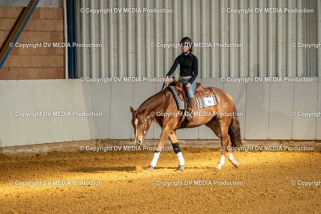 MIT00803 | dv-media-shop - Realisiert mit Pictrs.com