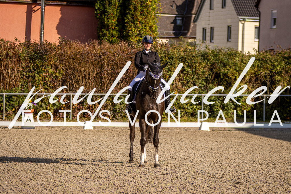 IMG_4177 | Erleben Sie dynamische Sport- und emotionale Tierfotografie in Süddeutschland mit Fotos von Paula. Spezialisiert auf Pferde- und Hundefotografie sowie Sportevents. Kontaktieren Sie mich für einzigartige und ausdrucksstarke Bilder Ihrer besonderen Momente. - Realisiert mit Pictrs.com