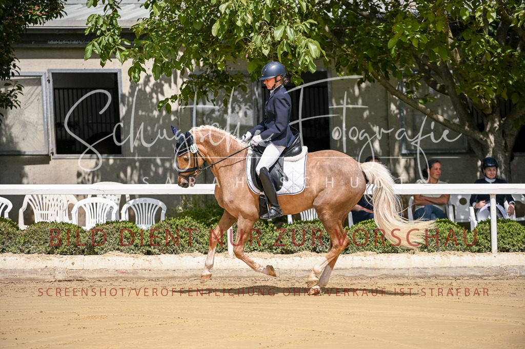 Schugtsche-Aluta25-48.Reitpferfdeprf.-39 | Schugtsche Fotografie - Realisiert mit Pictrs.com