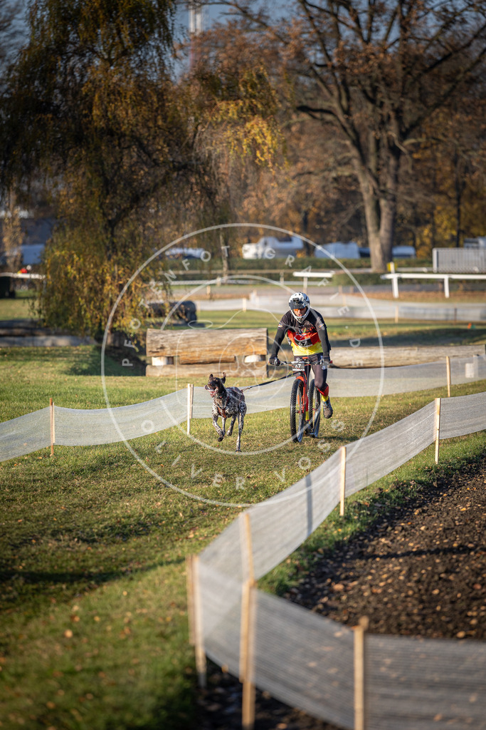 CaniXpix_DV3A1038 | Hundefotografie, Tierfotograf, Pfotenfotografie, Fotoshooting Hund, Hunde Portrait, Hundesport, Hundeportraits, Heideshooting, Hunde, Sportfotograf, Hundefotograf, Turnierhundsport, THS,  - Realisiert mit Pictrs.com