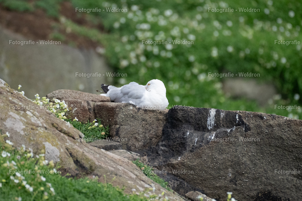 20230815 Isle of Sky - St.Andrews - Dundee-52 | Fotografie Woldron